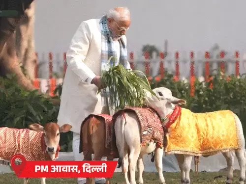 PM ने अपने आवास पर गायों को चारा खिलाया, पतंगबाजी से दो दिनों में 17 लोगों की मौत