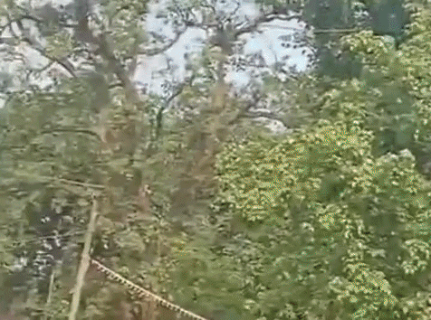 सैलरी में देरी पर भड़का गुस्सा, आंदोलन तेज करने की दी चेतावनी