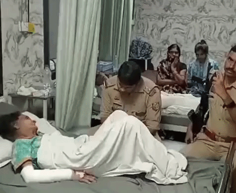 पालतू जर्मन शेफर्ड ने बहू को नोचा, एक साल पहले दादी की ले चुका है जान