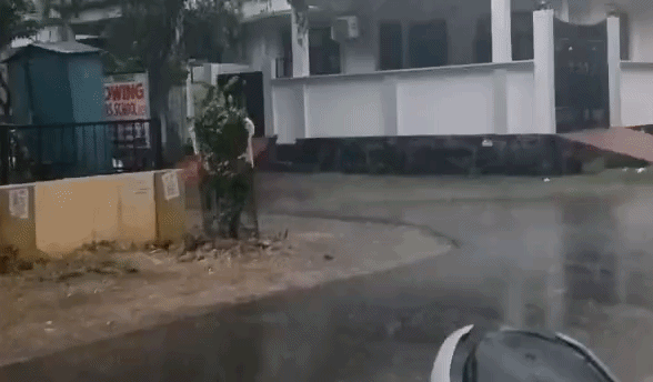 गर्मी से मिली राहत, तेज हवाओं से कई जगह गिरे पेड़