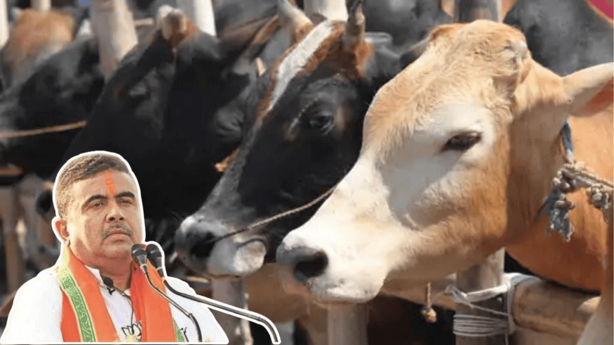 बंगाल में पशु वध पर सख्ती, फिटनेस सर्टिफिकेट के बिना नहीं होगा वध