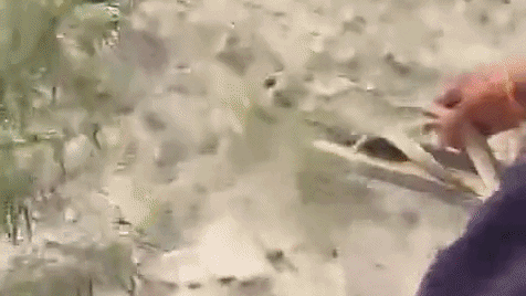 छह घंटे के सर्च ऑपरेशन के बाद मिली बॉडी, मां ने दोस्तों पर लगाया आरोप