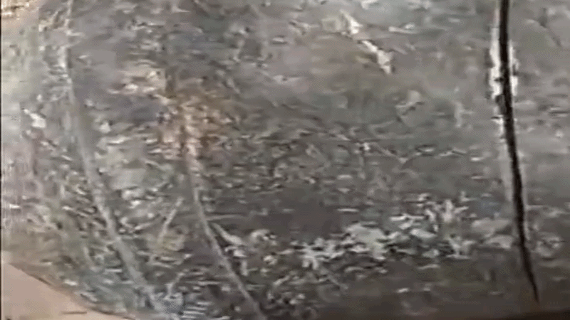 गोरखपुर का आरोपी रंगे हाथ अरेस्ट, कई दिनों से चल रही थी तैयारी