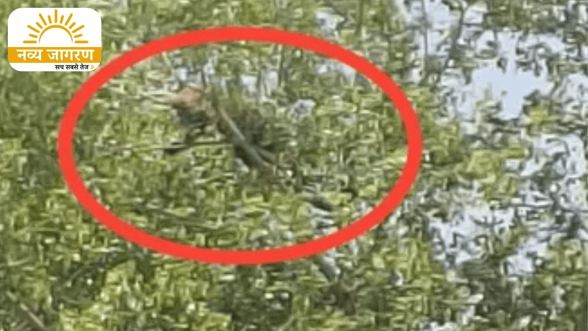 गन्ने के खेत में लगा रहे थे पानी, बचाने दौड़े युवक को भी किया घायल