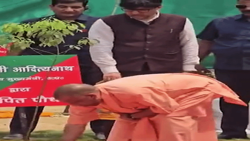 पर्यावरण दिवस पर औषधि वन की स्थापना, बच्चों संग किया पौधरोपण