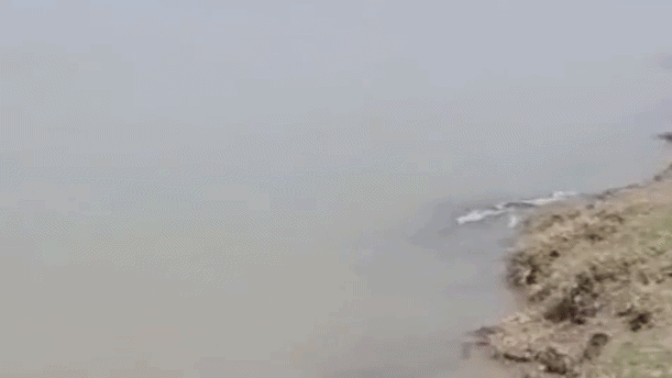 तीन बच्चों को सुरक्षित निकाला बाहर, तलाश में जुटी रेस्क्यू टीम