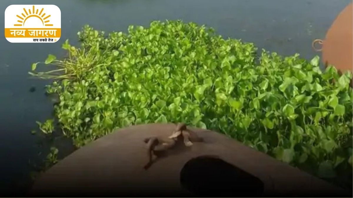 मछली पकड़ने के दौरान हुआ हादसा, ग्रामीणों ने संघर्ष कर छुड़ाया