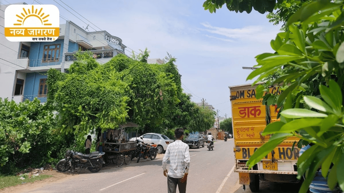 हल्की बारिश की संभावना, जुलाई की शुरुआत में मानसून के आसार