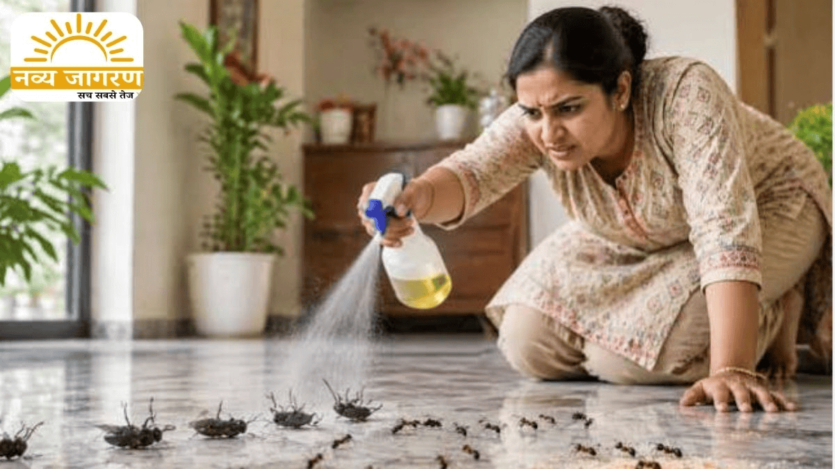 प्राकृतिक चीजों का करें इस्तेमाल, साफ-सफाई का रखें विशेष ध्यान