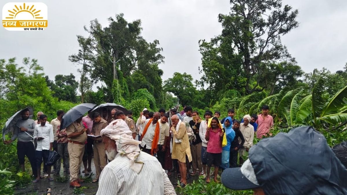 नीचे लटके बिजली के तार में फंस गई थी बाइक, पेड़ गिरने से हुआ हादसा 