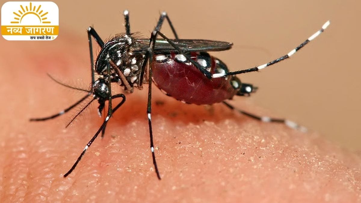 भारत में भी बढ़ी चिंता, एक हफ्ते में गई 36 लोगों की जान