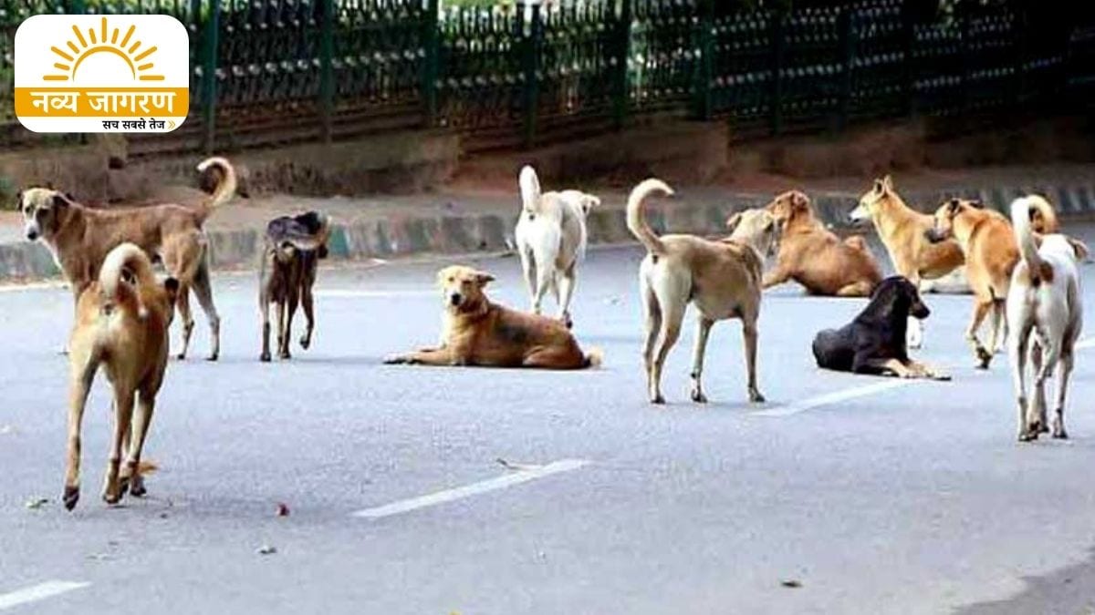 शहर में दहशत का माहौल, लोगों ने अधिकारियों से मदद मांगी 