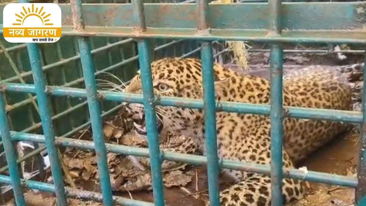 मासूम बच्चे को उतारा था मौत के घाट, डर के साए में जी रहे ग्रामीणों ने ली चैन की सांस
