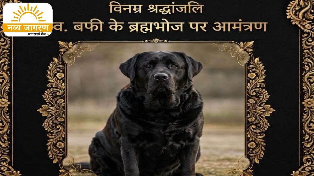छपवाए श्रद्धांजलि कार्ड, सात साल के बफी के निधन से टूटा परिवार
