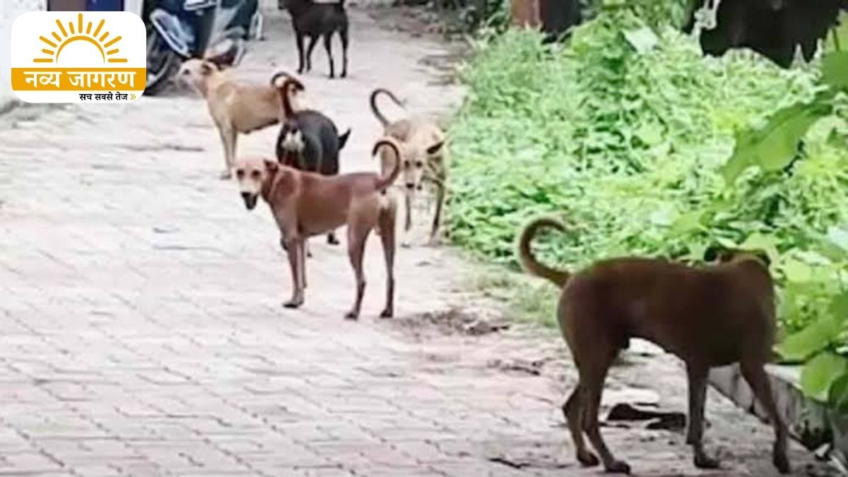 चरणामृत पीने वालों की उड़ी नींद, 400 लोगों को लगाया गया एंटी रैबीज इंजेक्शन